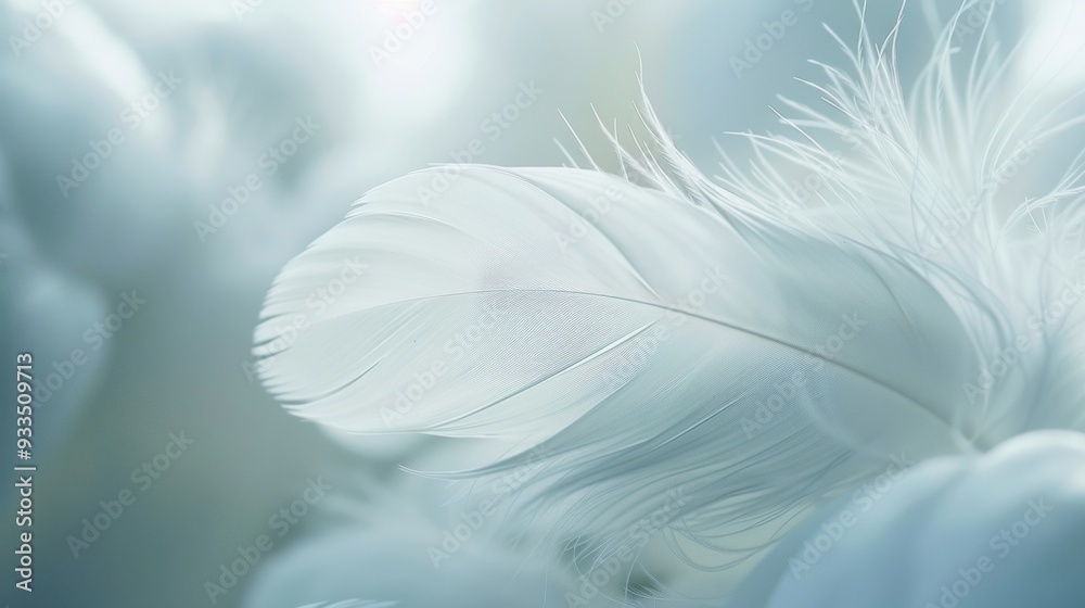 Macro shot of a delicate white feather showcasing its intricate details and soft texture, emphasizing purity and lightness.