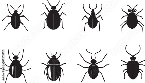 A set of insects. Hand drawn vector illustration	