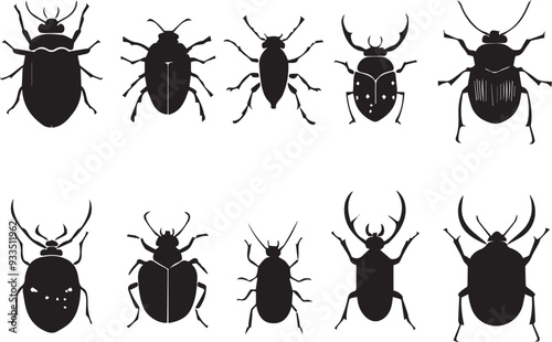 A set of insects. Hand drawn vector illustration	