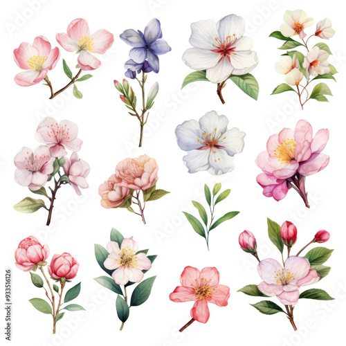 A collection of 16 watercolor-style illustrations of blooming flowers, including pink, white and blue blossoms, as well as green leaves and buds.