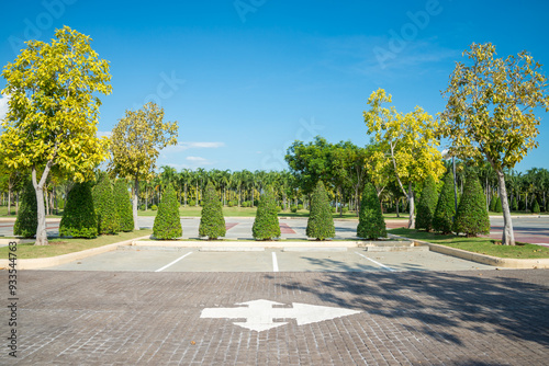 Fototapeta Naklejka Na Ścianę i Meble -  Empty space in city park outdoor concrete parking lot area with blue sky in summer season. Green nature gardening in car parking lot. Friendly environmental and transportation concept.