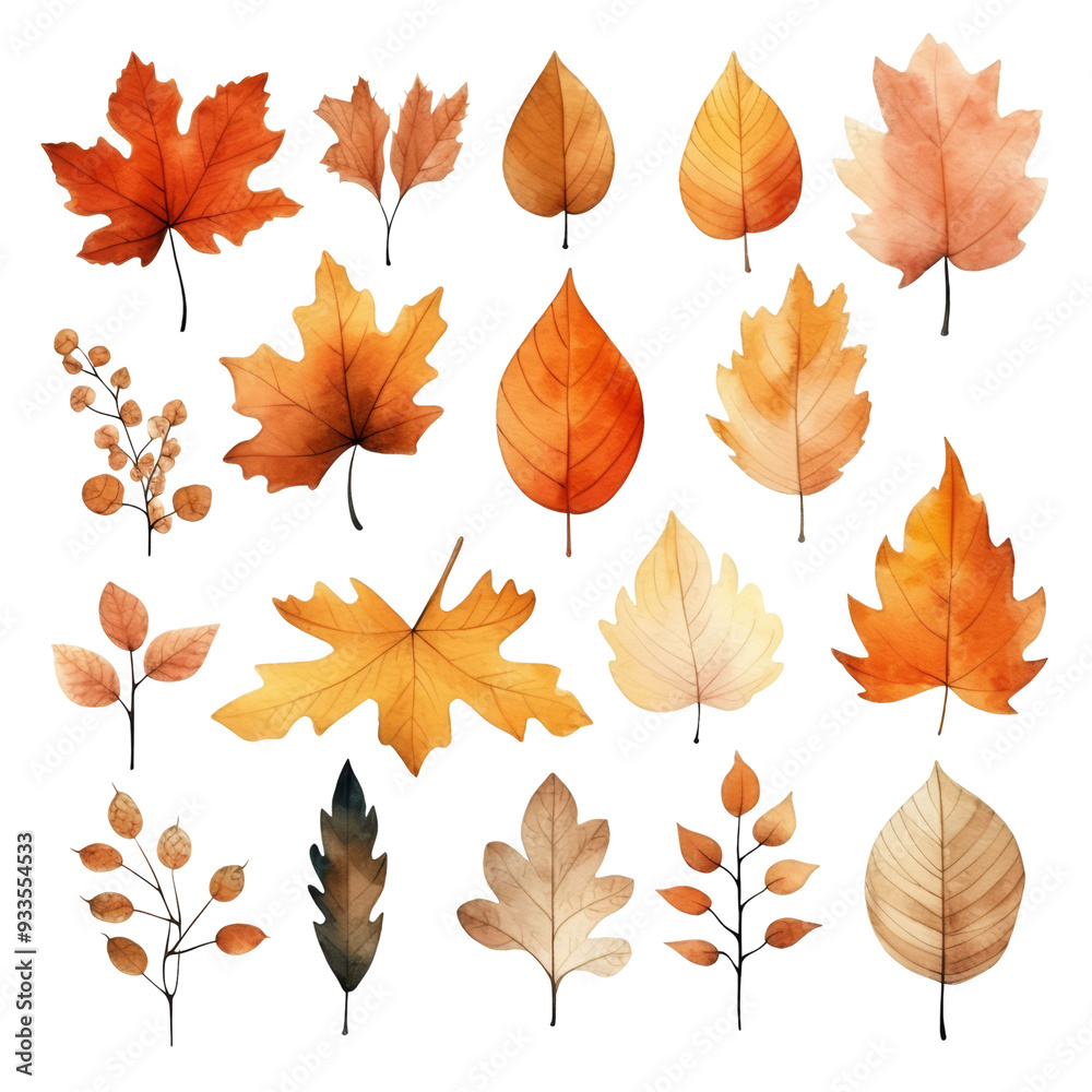 Collection of 18 autumn leaves in various shades of orange, yellow and brown, with some leaves in a darker shade of orange with a greenish hue, and some with a transparent background. Collection of 18 autumn leaves in various shades of orange, yellow and brown, with some leaves in a darker shade of orange with a greenish hue, and some with a transparent background.