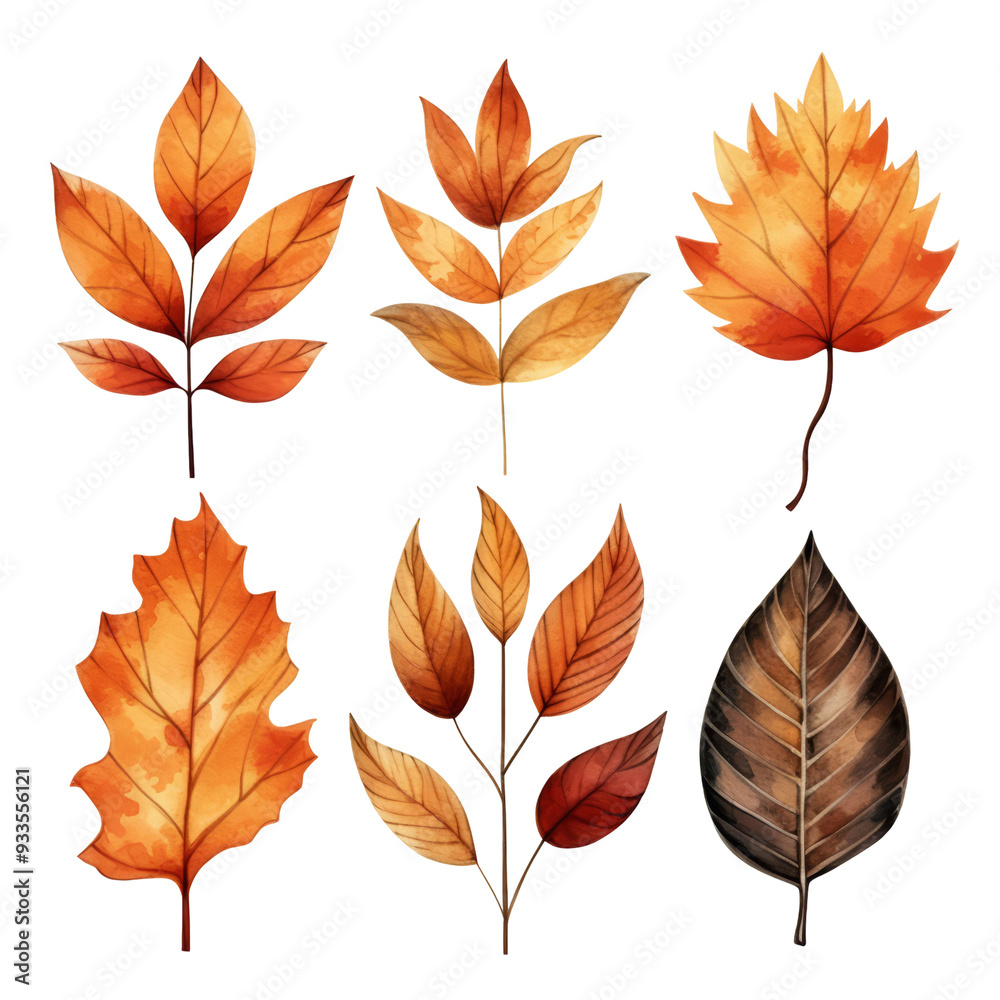 Six autumn leaves in various shapes and colors, isolated on white. Six autumn leaves in various shapes and colors, isolated on white.