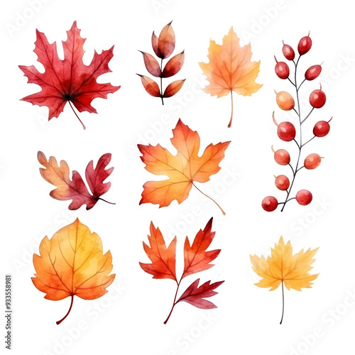 A collection of watercolor autumn leaves, including maple, oak, and birch, in shades of red, orange, and yellow.
