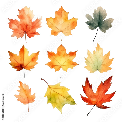 A collection of nine watercolor painted maple leaves in different shades of fall colors, isolated on a transparent background.