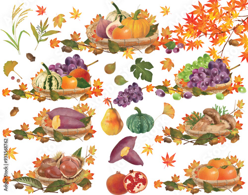 Clip art of autumn taste series set of fruits and vegetables and nuts, and basket and autumn maple leaves.