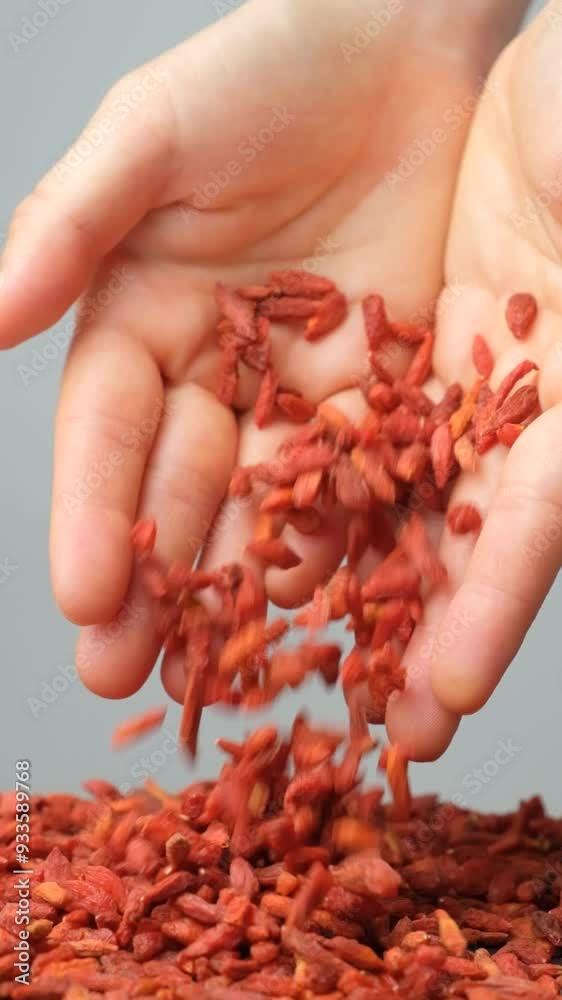 Handful of dried red goji berries pouring out of hands, vertical slow motion.