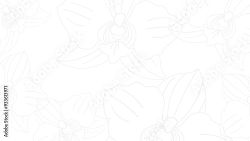 orchid flowers white vector web background