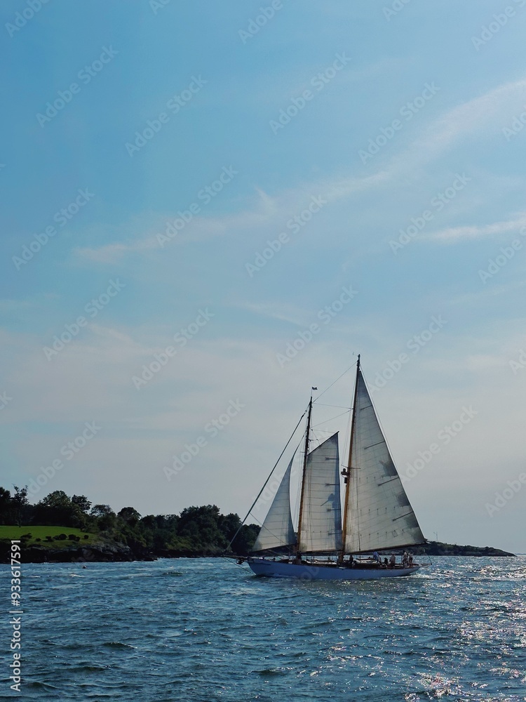 Fototapeta premium sailing in the sea