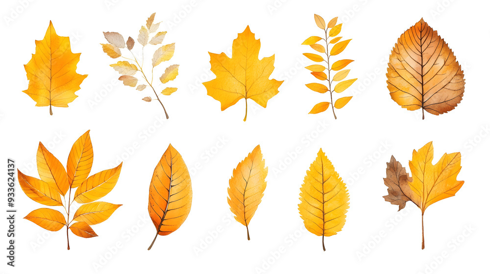 Minimalistic illustration collection of different yellow fall leaves and plants isolated on white background Minimalistic illustration collection of different yellow fall leaves and plants isolated on white background