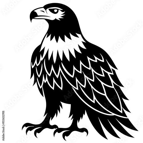 eagle vector illustration photo