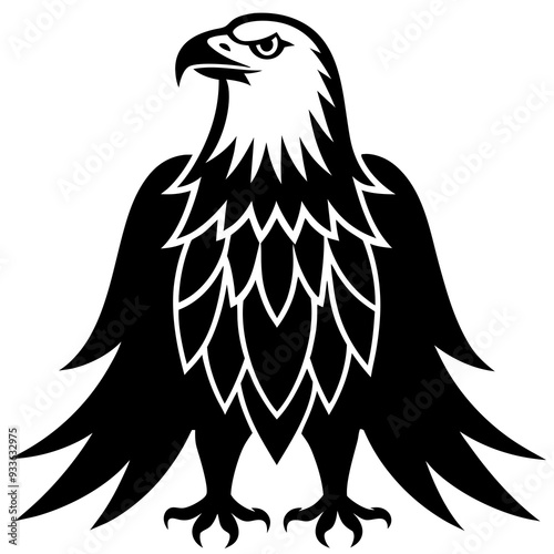 eagle vector illustration photo