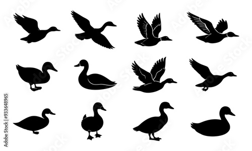 Set of duck silhouette vector illustration