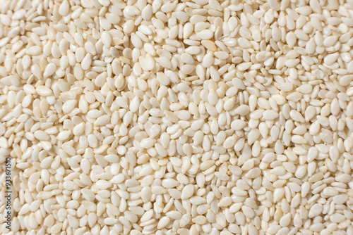 White sesame background, macro top view.