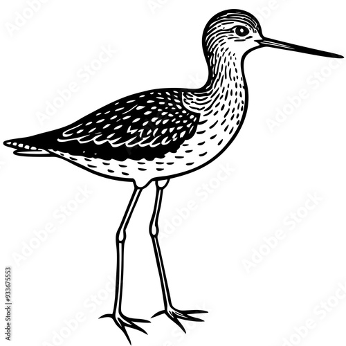 Yellowlegs Bird Vector Illustration - Detailed SVG & Cricut Files for Crafting, Clipart, and T-shirt Graphics