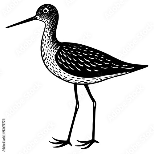 Yellowlegs Bird Vector Illustration - Detailed SVG & Cricut Files for Crafting, Clipart, and T-shirt Graphics