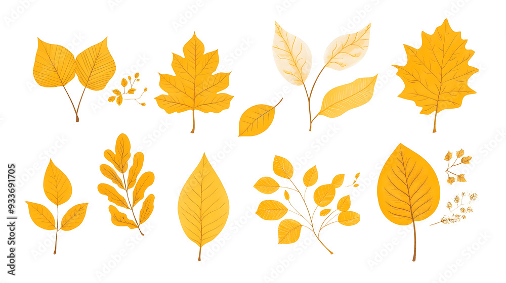 Obraz premium Minimalistic illustration collection of different yellow fall leaves and plants isolated on white background