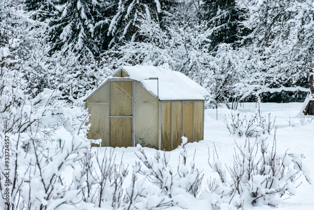 garden in winter, greenhouse covered with snow, trees, garden house and garden accessories garden in winter, greenhouse covered with snow, trees, garden house and garden accessories