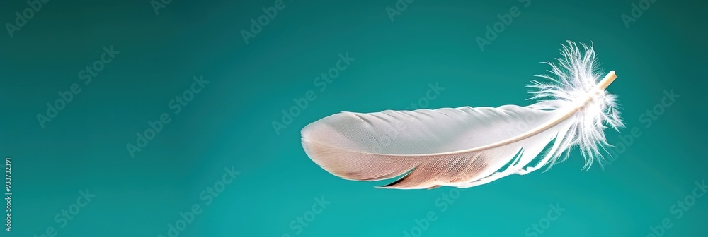 Naklejka premium Close-up of a white feather floating against a turquoise background, representing lightness, freedom, and elegance.