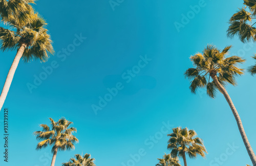 Tall palm trees against a clear blue sky, viewed from below. The image captures the relaxation and natural beauty of a tropical day.
