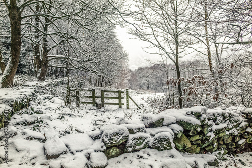 A wooden stile standing out against the snow beckons hardy walkers to experience an invigorating winter walk through the trees sparkling under newly fallen snow photo