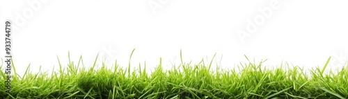 Green Grass