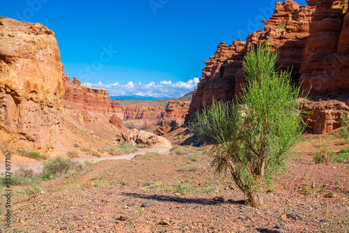 Charyn Canyon, Valley of Castles. The excellence of Kazakhstan. Panorama of natural unusual landscape. The red canyon of extraordinary beauty looks like a Martian landscape. photo