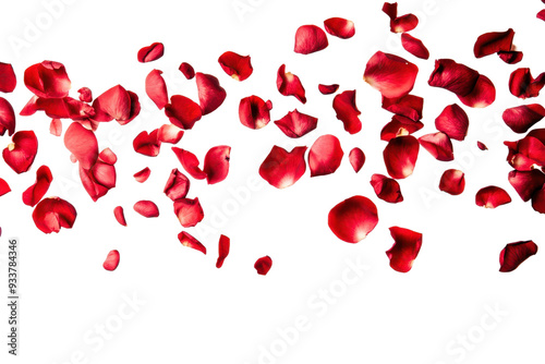 A beautiful arrangement of scattered red rose petals on a transparent background. perfect for romantic, wedding, or Valentine's Day themes.