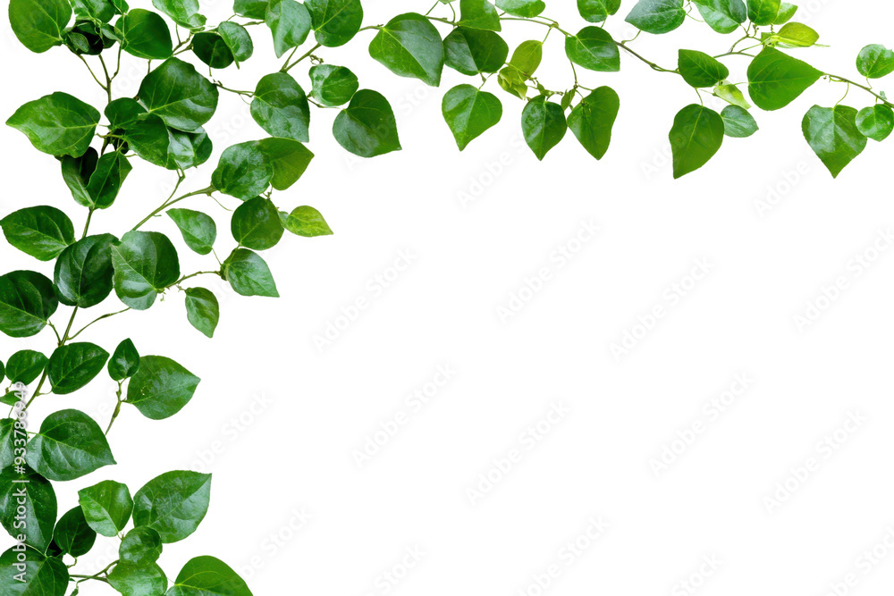 Lush green foliage forming a natural frame with vibrant, glossy leaves against a transparent background, perfect for design elements and backgrounds. Lush green foliage forming a natural frame with vibrant, glossy leaves against a transparent background, perfect for design elements and backgrounds.