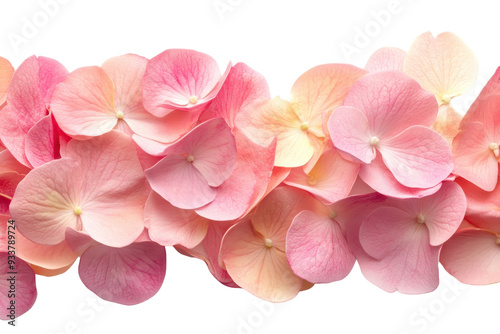 Wallpaper Mural Beautiful close-up of soft pink petals of hydrangea flowers in full bloom, perfect for spring and floral themes in a seamless pattern. Torontodigital.ca