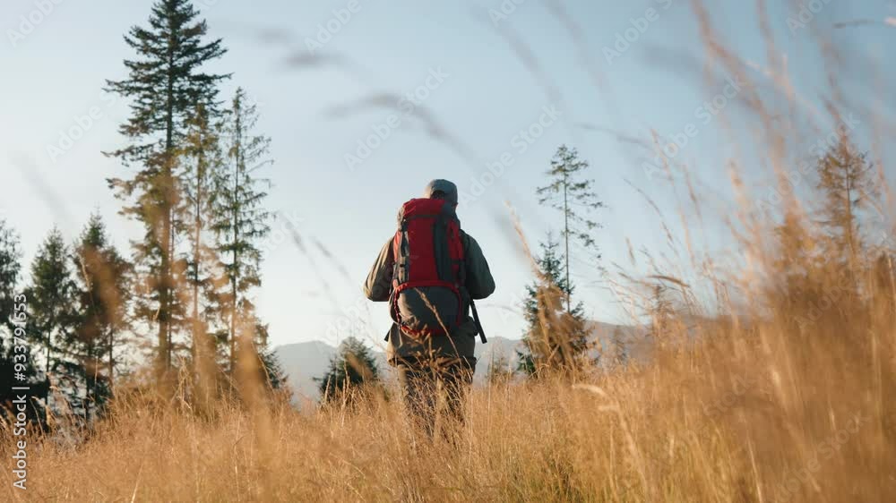 Rear view steady shot man walking on grassy meadow overlooking mountain peaks lit with sunrise light, red backpack. Male backpacker explorer walk through tall grass in field, sunny summer morning Rear view steady shot man walking on grassy meadow overlooking mountain peaks lit with sunrise light, red backpack. Male backpacker explorer walk through tall grass in field, sunny summer morning