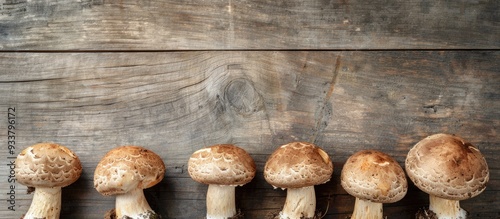 Forest mushrooms on an aged wooden board, arranged neatly with visible cracks, creating a rustic charm in a row, ideal for adding your message in the copy space image. photo