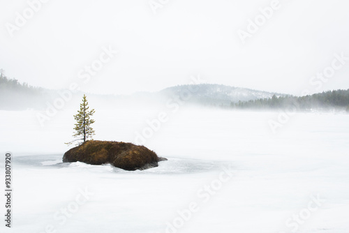 Mini island in Inari, Lapland photo