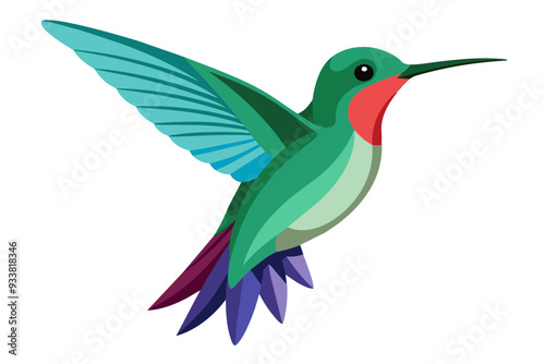 Broad billed hummingbird vector art illustration 