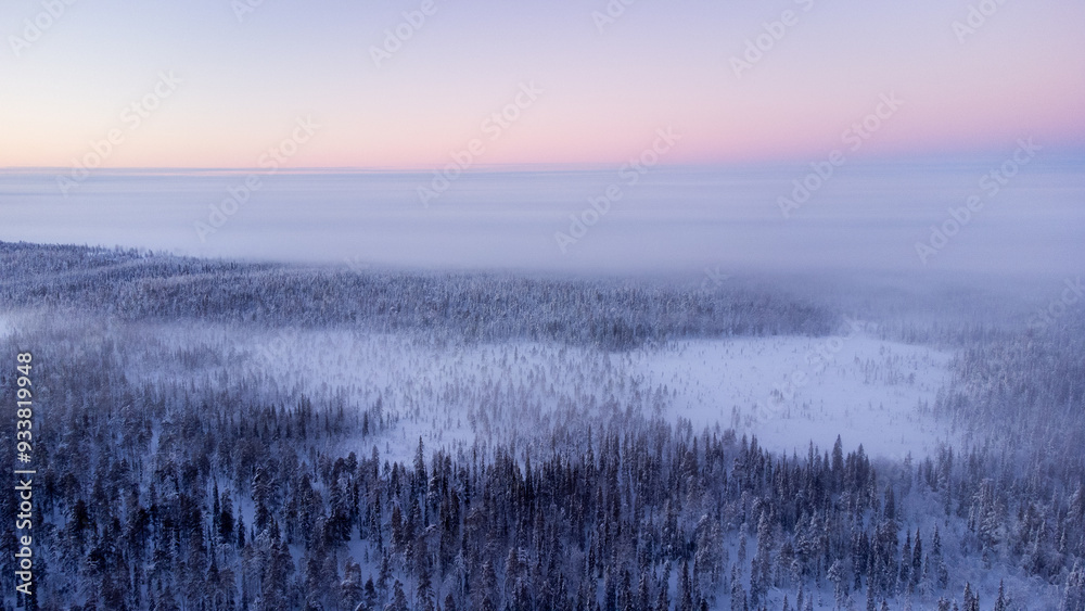 Fototapeta premium Snowy Winter Landscape in Lapland