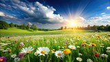 Lush green field surrounded by blooming flowers under a bright summer sky, Summer, field, green, nature, grass, flowers