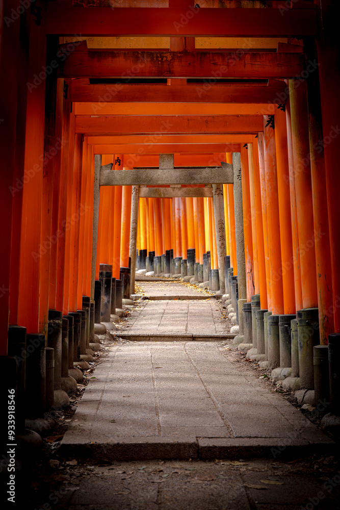 Fototapeta premium fushimi inari shrine's torii gates in kyoto, japan