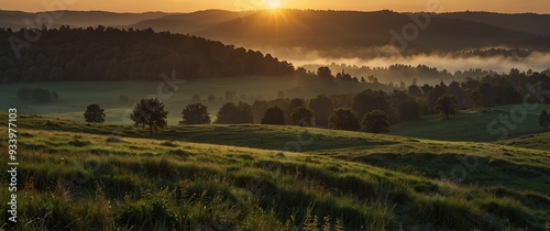 Panoramic landscape with sunrise over forest and meadow in serene countryside. photo