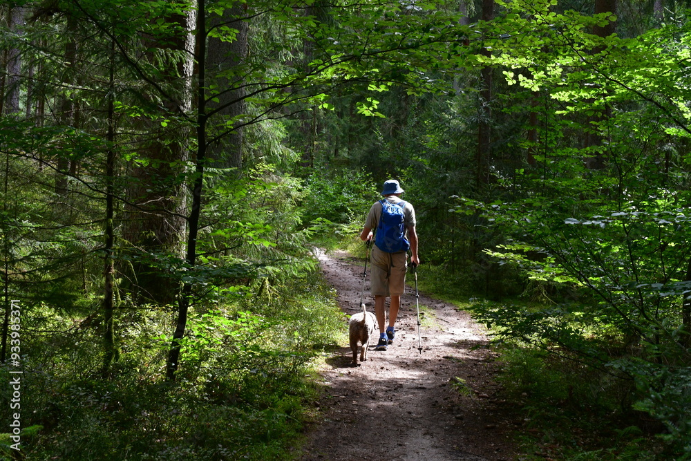 Mann und sein Lagotto Romagnolo Hund wandern in Franken