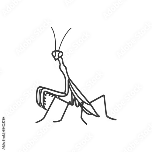 A hand drawn outline of a praying mantis in a profile pose