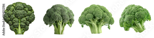 A row of four fresh broccoli florets with varying textures and shapes, isolated on a white background, highlighting the diversity in their form and detail. photo