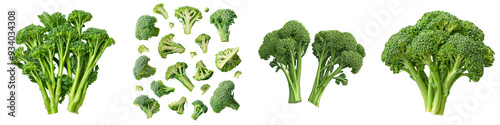 A variety of broccoli forms, including whole stalks, chopped pieces, and individual florets, all isolated on a white background.