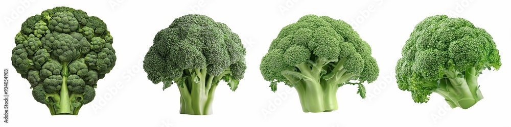 A row of four fresh broccoli florets with varying textures and shapes, isolated on a white background, highlighting the diversity in their form and detail. A row of four fresh broccoli florets with varying textures and shapes, isolated on a white background, highlighting the diversity in their form and detail.