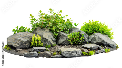 Decorative green garden with stones isolated on a transparent background. Generative AI