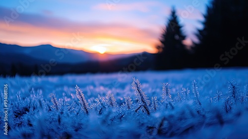 A serene winter landscape with frosted grass, silhouetted trees, and a vibrant sunset in the background, capturing nature's beauty. photo