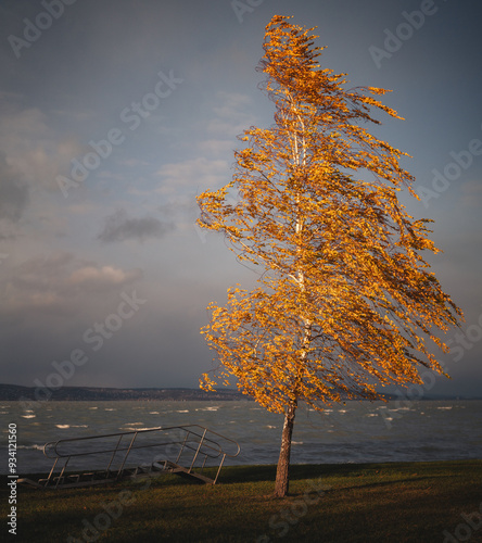 Lake Balaton on a windy day...