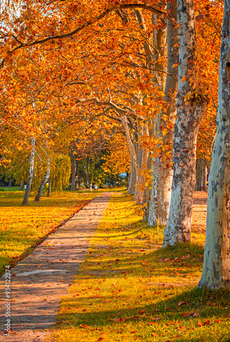 Nice autumnal scene at lake...