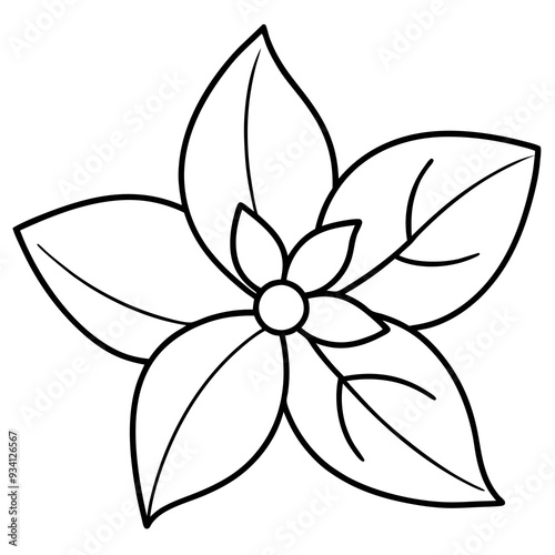 black and white flower line art