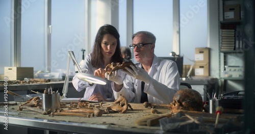 Archaeological laboratory: Senior paleoanthropologist examines remains of prehistoric human skeleton using professional tools, talks and shows ancient fossil bones to female scientist sitting nearby. photo