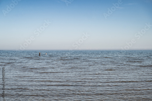 In Estonia, la vista su Mar Baltico con la meteo bella, durante il mese di agosto. photo